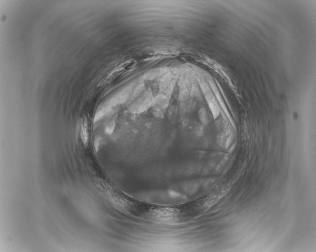 X0000060220069200511181223