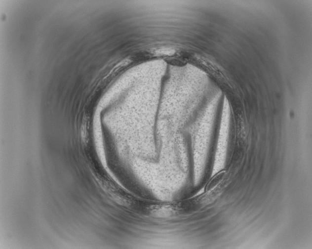 X0000060220074200511181223