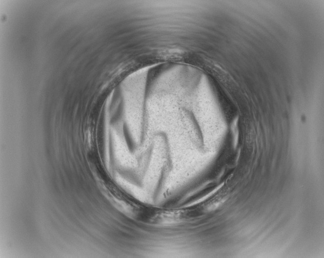 X0000060220084200511181223