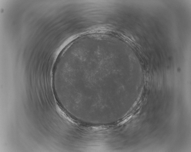 X0000060220100200511181223
