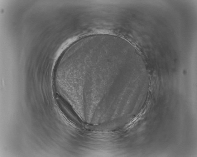 X0000060220104200511181223