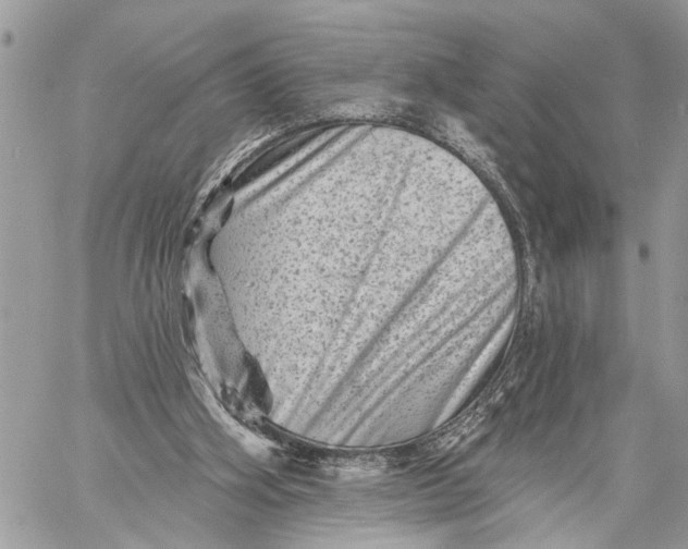 X0000060220106200511181223