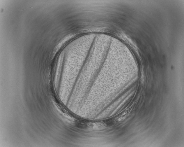 X0000060220107200511181223