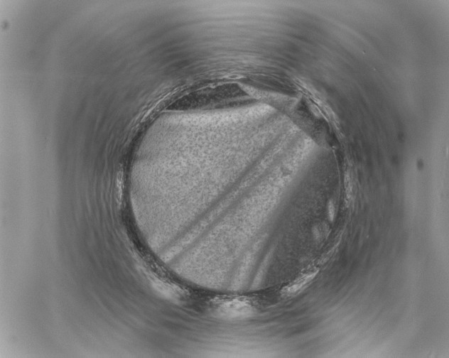 X0000060220113200511181223