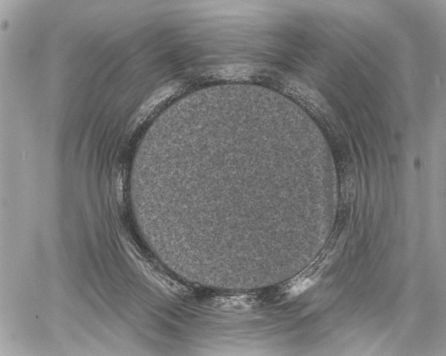 X0000060220120200511181223