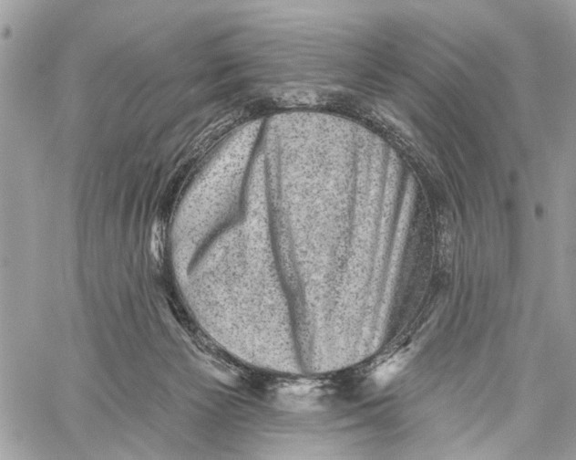 X0000060220125200511181222