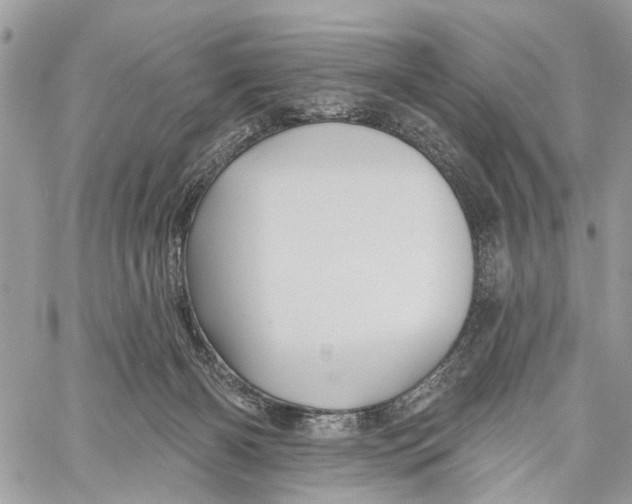 X0000060220126200511181222