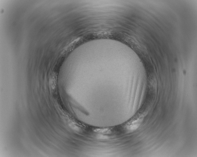 X0000060220133200511181222