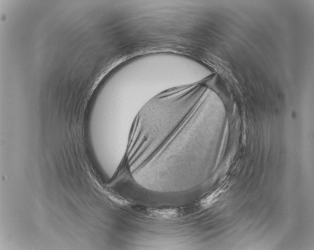 X0000060220156200511181222