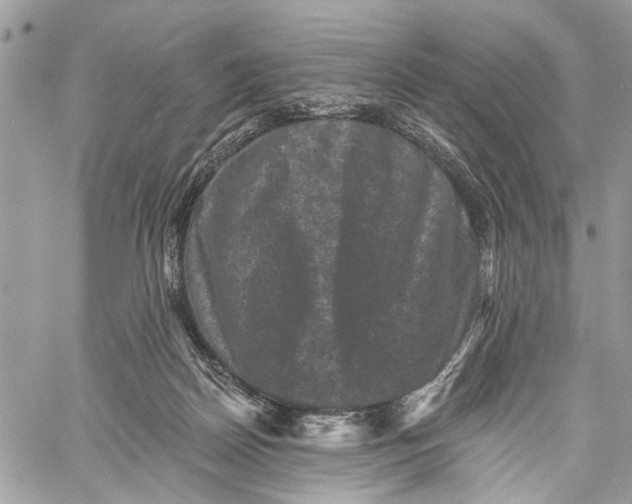 X0000060220170200511181222