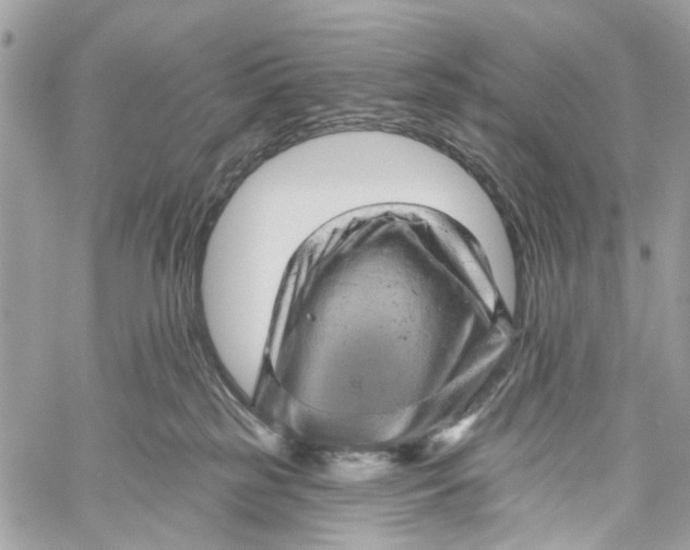 X0000060220185200511181222