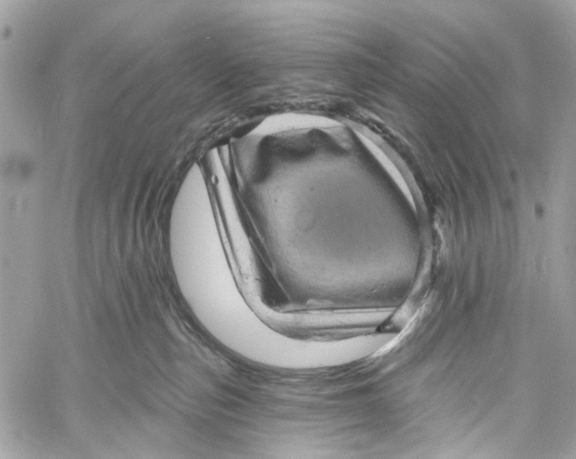 X0000060220187200511181222