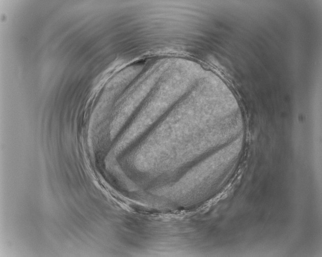 X0000060220193200511181221