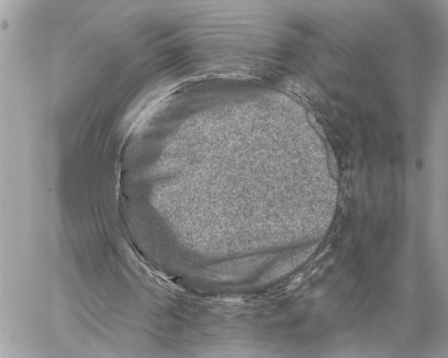 X0000060220194200511181221