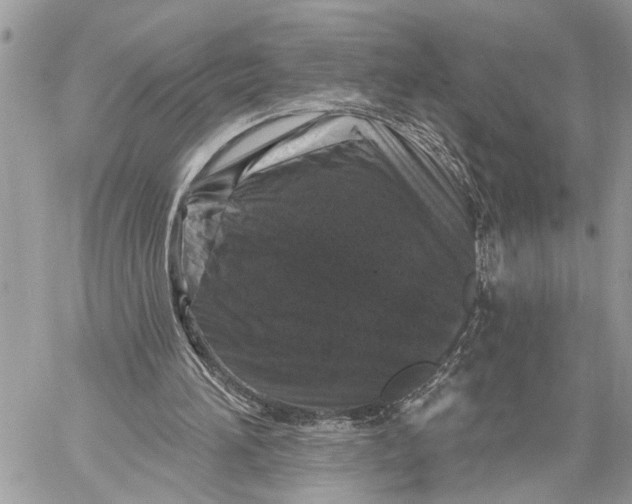 X0000060220196200511181221