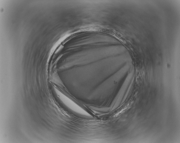 X0000060220200200511181221