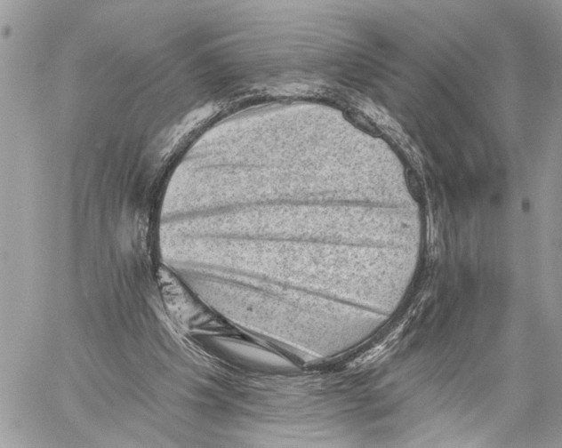 X0000060220201200511181221