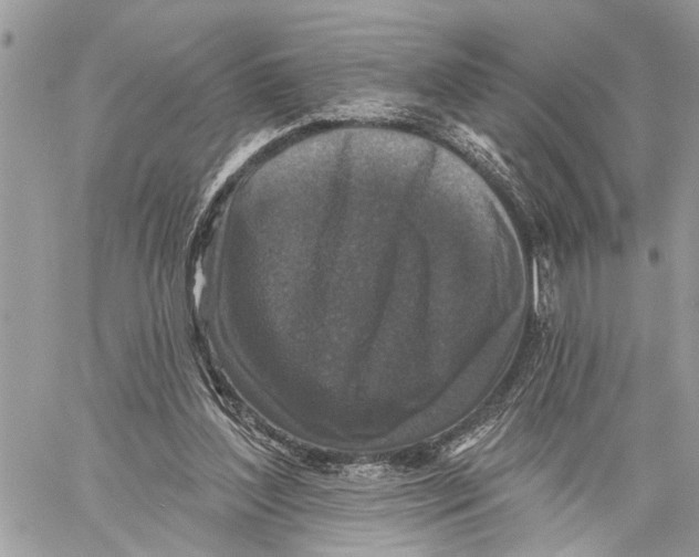 X0000060220204200511181221