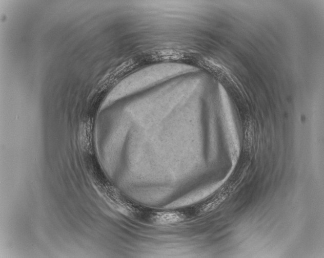X0000060220218200511181221
