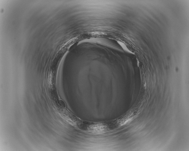 X0000060220219200511181221