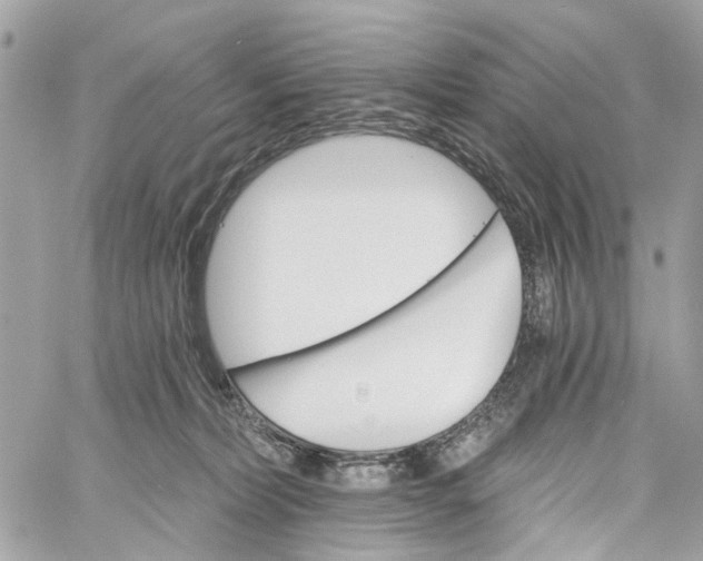 X0000060220228200511181221