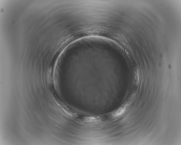 X0000060220239200511181221