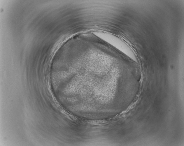 X0000060220241200511181220