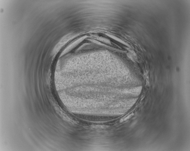 X0000060220242200511181220