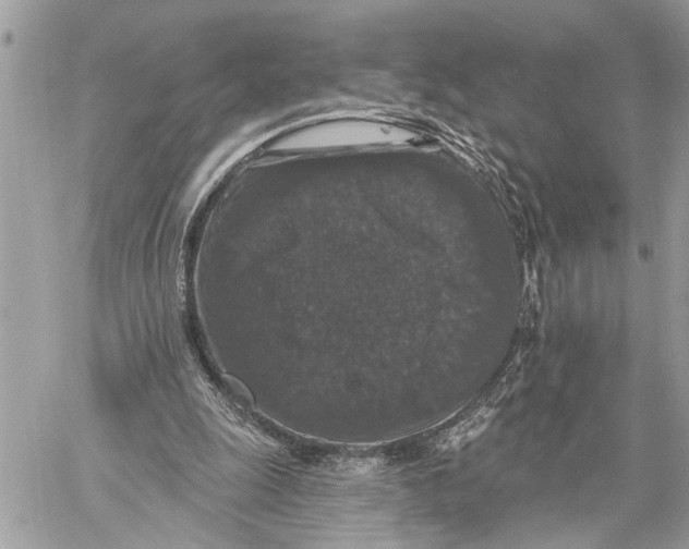 X0000060220247200511181220