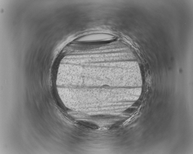 X0000060220248200511181220