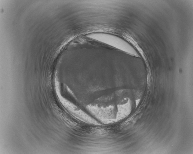 X0000060220249200511181220