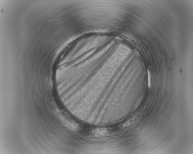 X0000060220252200511181220