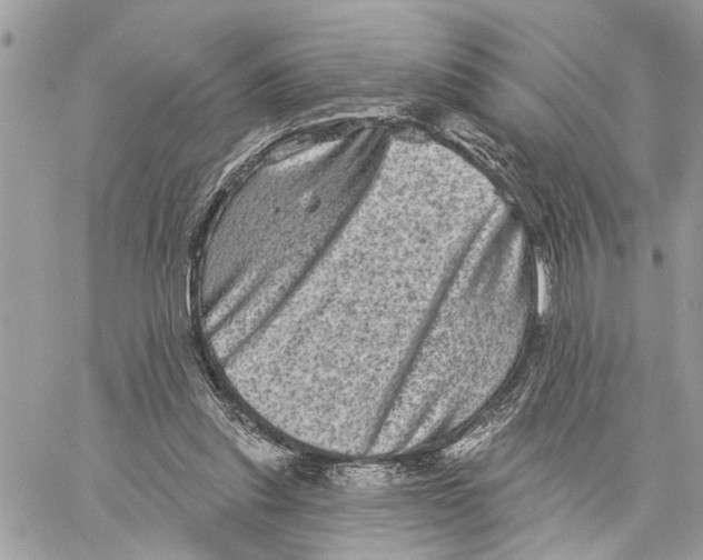 X0000060220253200511181220