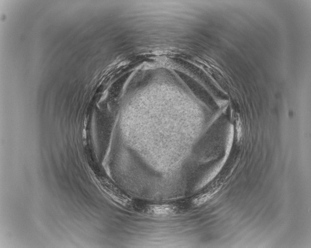 X0000060220264200511181220
