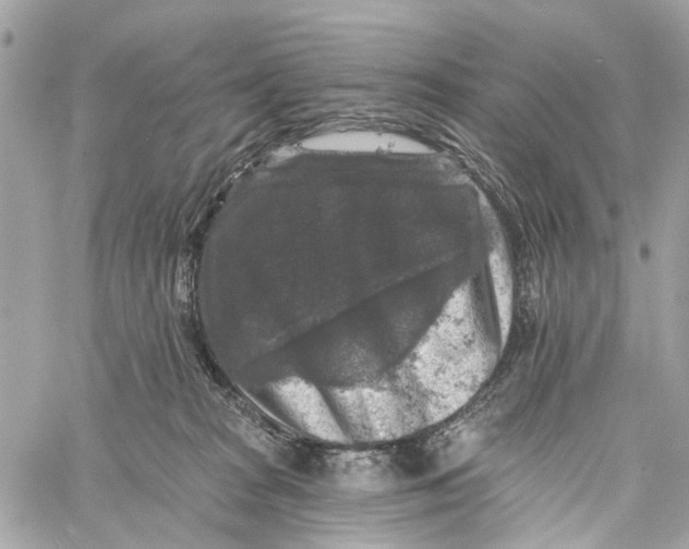 X0000060220277200511181220