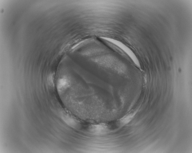 X0000060220286200511181221