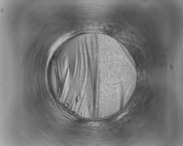 X0000060220294200511181220