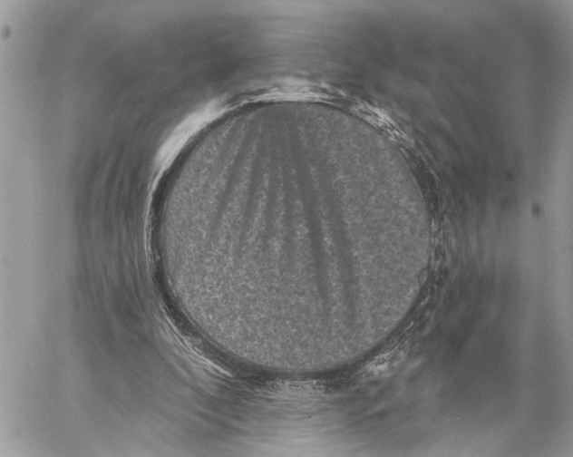 X0000060220296200511181220