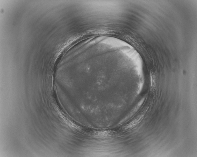 X0000060220301200511181220