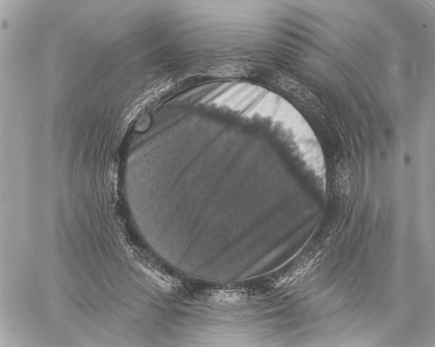 X0000060220303200511181220