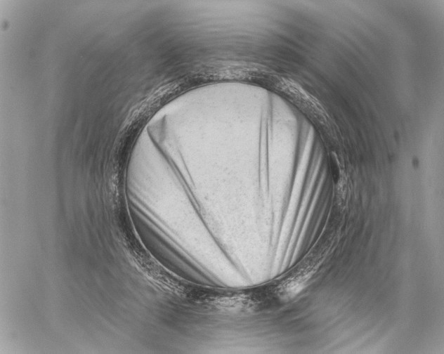 X0000060220306200511181219