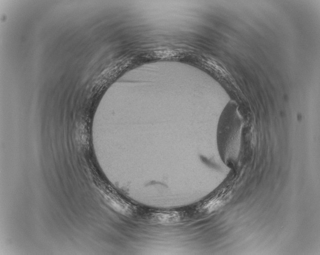 X0000060220317200511181219