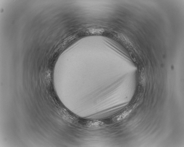 X0000060220321200511181219