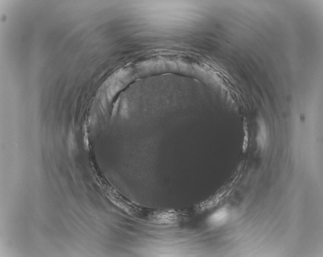 X0000060220325200511181219
