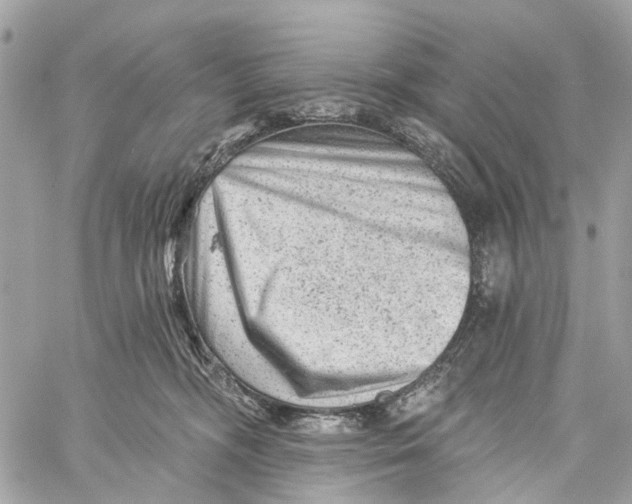 X0000060220326200511181219