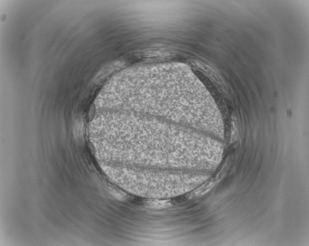 X0000060220333200511181219
