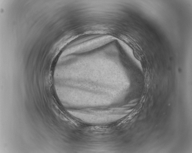 X0000060220338200511181218