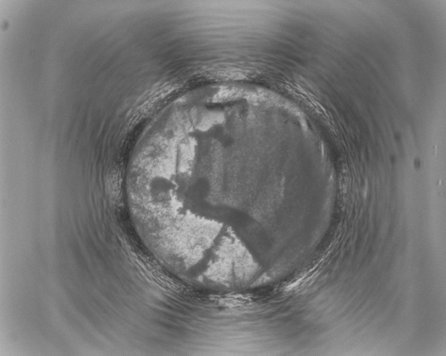 X0000060220359200511181219