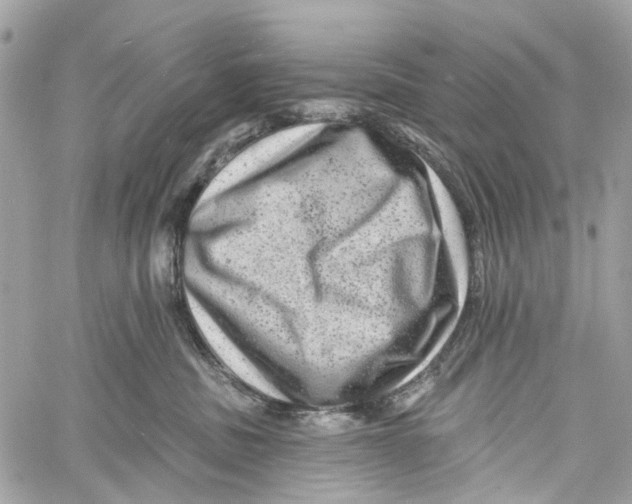 X0000060220379200511181219