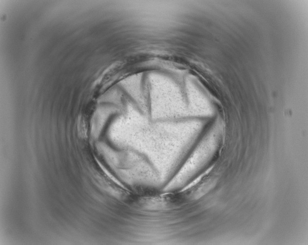 X0000060220384200511181219